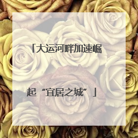 大运河畔加速崛起“宜居之城”
