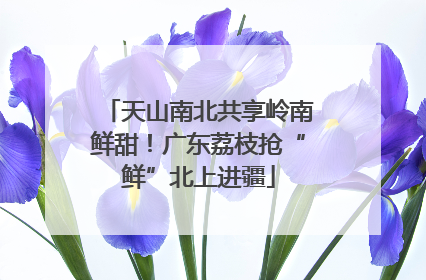 天山南北共享岭南鲜甜！广东荔枝抢“鲜”北上进疆