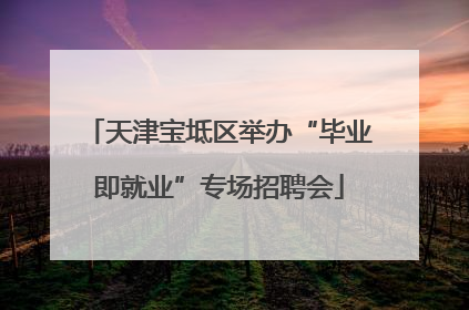 天津宝坻区举办“毕业即就业”专场招聘会