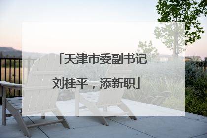 天津市委副书记刘桂平，添新职