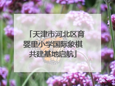 天津市河北区育婴里小学国际象棋共建基地启航