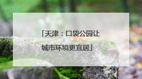 天津：口袋公园让城市环境更宜居