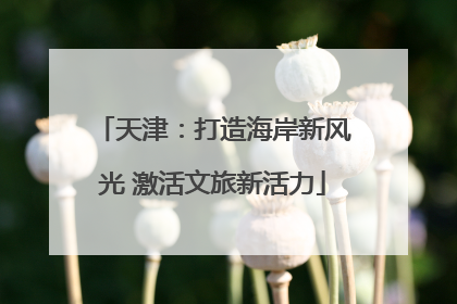 天津：打造海岸新风光 激活文旅新活力