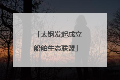 太钢发起成立船舶生态联盟