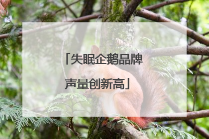 失眠企鹅品牌声量创新高