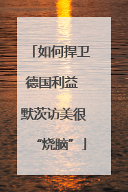 如何捍卫德国利益 默茨访美很“烧脑”