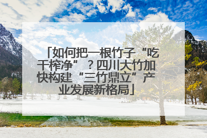 如何把一根竹子“吃干榨净”？四川大竹加快构建“三竹鼎立”产业发展新格局
