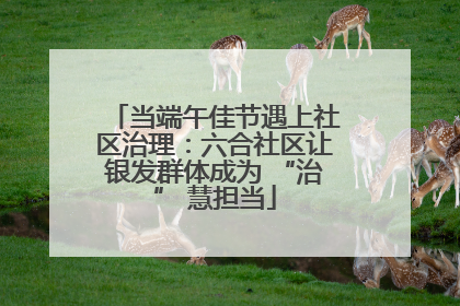 当端午佳节遇上社区治理：六合社区让银发群体成为 “治” 慧担当
