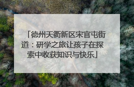 德州天衢新区宋官屯街道：研学之旅让孩子在探索中收获知识与快乐