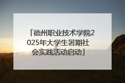 德州职业技术学院2025年大学生暑期社会实践活动启动