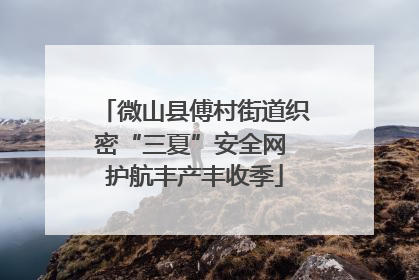 微山县傅村街道织密“三夏”安全网 护航丰产丰收季