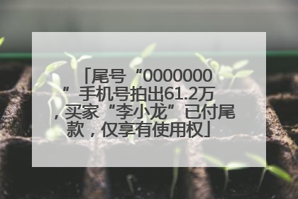 尾号“0000000”手机号拍出61.2万，买家“李小龙”已付尾款，仅享有使用权