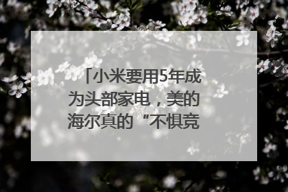 小米要用5年成为头部家电，美的海尔真的“不惧竞争”？｜热财经