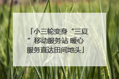 小三轮变身“三夏”移动服务站 暖心服务直达田间地头