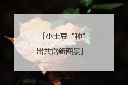 小土豆“种”出共富新图景