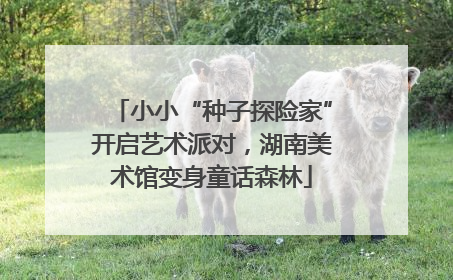 小小“种子探险家”开启艺术派对，湖南美术馆变身童话森林