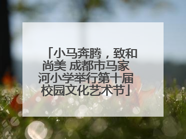 小马奔腾，致和尚美 成都市马家河小学举行第十届校园文化艺术节