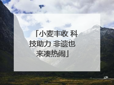 小麦丰收 科技助力 非遗也来凑热闹