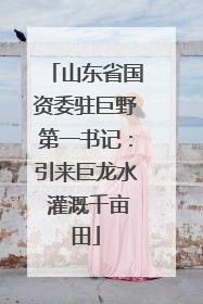 山东省国资委驻巨野第一书记：引来巨龙水 灌溉千亩田