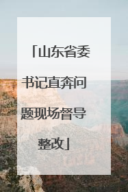 山东省委书记直奔问题现场督导整改
