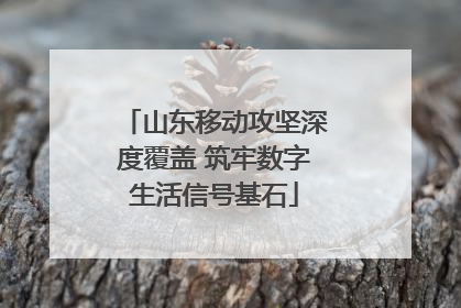 山东移动攻坚深度覆盖 筑牢数字生活信号基石