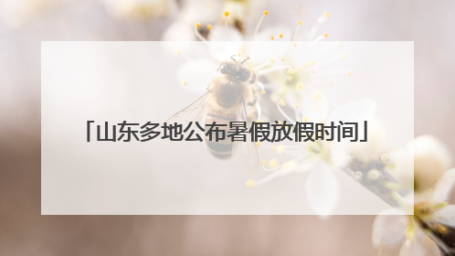 山东多地公布暑假放假时间