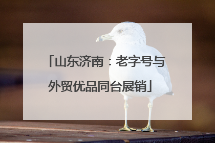 山东济南：老字号与外贸优品同台展销