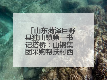 山东菏泽巨野县独山镇第一书记搭桥：山钢集团采购帮扶村西瓜助农增收