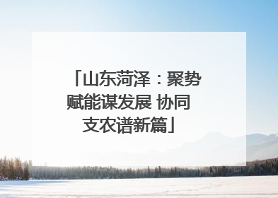山东菏泽：聚势赋能谋发展 协同支农谱新篇