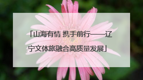 山海有情 携手前行——辽宁文体旅融合高质量发展