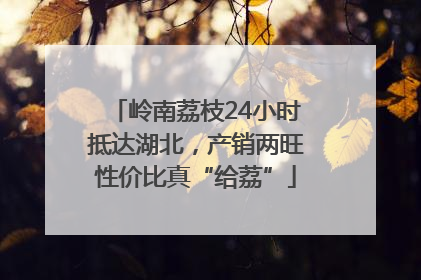 岭南荔枝24小时抵达湖北，产销两旺性价比真“给荔”