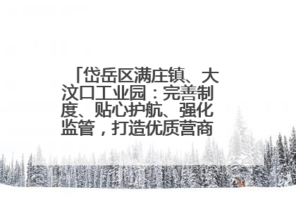 岱岳区满庄镇、大汶口工业园：完善制度、贴心护航、强化监管，打造优质营商“强磁场”