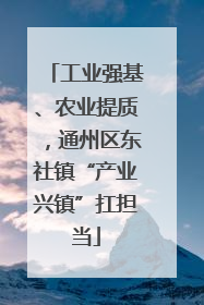 工业强基、农业提质，通州区东社镇“产业兴镇”扛担当