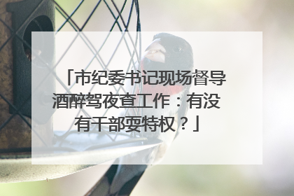市纪委书记现场督导酒醉驾夜查工作：有没有干部耍特权？