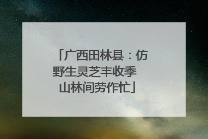 广西田林县：仿野生灵芝丰收季 山林间劳作忙