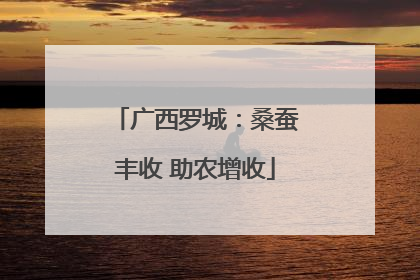 广西罗城：桑蚕丰收 助农增收