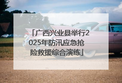 广西兴业县举行2025年防汛应急抢险救援综合演练