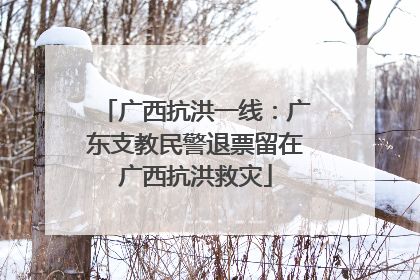 广西抗洪一线：广东支教民警退票留在广西抗洪救灾