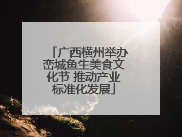 广西横州举办峦城鱼生美食文化节 推动产业标准化发展