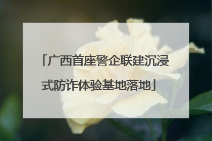 广西首座警企联建沉浸式防诈体验基地落地