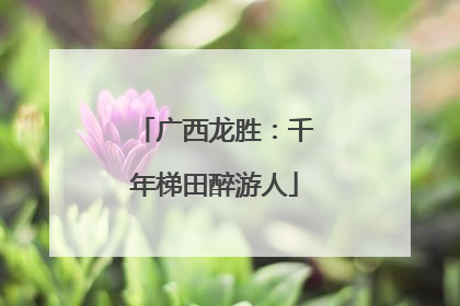 广西龙胜：千年梯田醉游人
