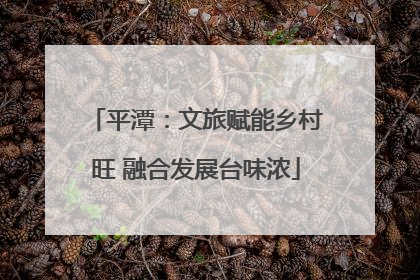 平潭：文旅赋能乡村旺 融合发展台味浓