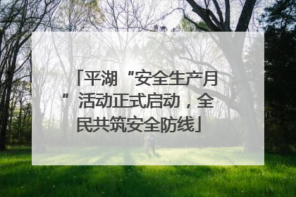 平湖“安全生产月”活动正式启动，全民共筑安全防线