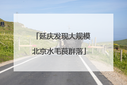 延庆发现大规模北京水毛茛群落
