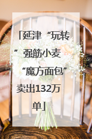 延津“玩转”强筋小麦 “魔方面包”卖出132万单