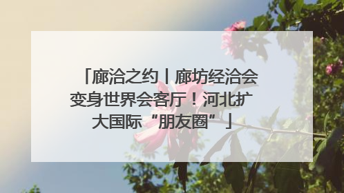 廊洽之约丨廊坊经洽会变身世界会客厅！河北扩大国际“朋友圈”