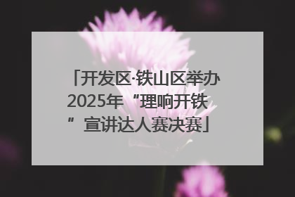 开发区·铁山区举办2025年“理响开铁”宣讲达人赛决赛