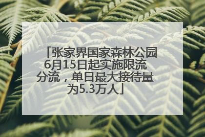 张家界国家森林公园6月15日起实施限流分流，单日最大接待量为5.3万人