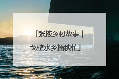 张掖乡村故事｜戈壁水乡插秧忙