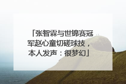 张智霖与世锦赛冠军赵心童切磋球技，本人发声：很梦幻